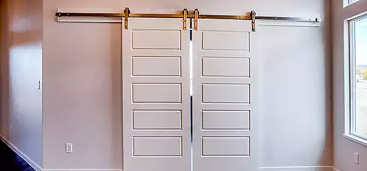 Glass Barn Door with Installation Hardware Kit Wisconsin Rapids